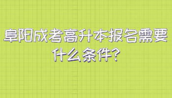 阜陽成考高升本報(bào)名需要什么條件